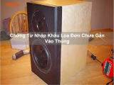 Chứng Từ Nhập Khẩu Loa Đơn Chưa Gắn Vào Thùng