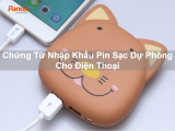 Chứng Từ Nhập Khẩu Pin Sạc Dự Phòng Cho Điện Thoại