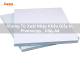 Chứng Từ Xuất Nhập Khẩu Giấy In, Photocopy , Giấy A4