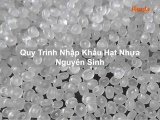 Quy Trình Nhập Khẩu Hạt Nhựa Nguyên Sinh
