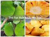 Thủ Tục Xuất Khẩu Mít Thái