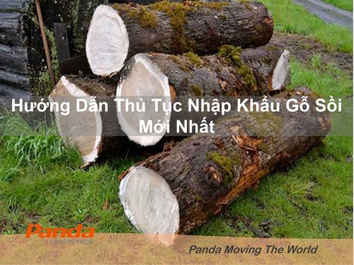 Hướng Dẫn Thủ Tục Nhập Khẩu Gỗ Sồi Mới Nhất - Panda logistics